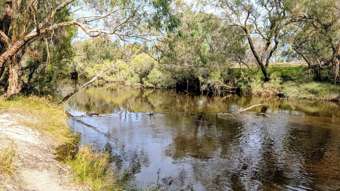 65 Baramba Road Karakin WA 6044