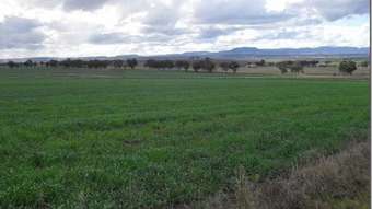 Farm Property for Sale - 376 Nobles Road Loch Lomond QLD 4370