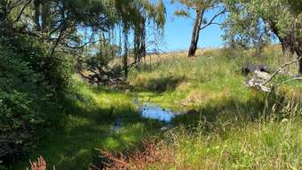 Farm Property for Sale -  Campbells Creek Road Mudgee NSW 2850