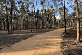 Farm Property for Sale -  Misery Road Beazleys Bridge VIC 3477
