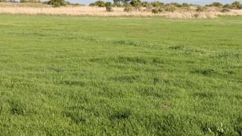 Farm Property for Sale - 110 Ondit-Warrion Road Ondit VIC 3249