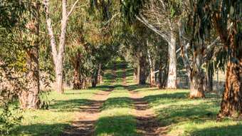 Farm Property for Sale - 269 Brookleigh Road Strathbogie VIC 3666