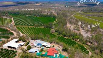 Farm Property for Sale - 22 Leonardi Road Mareeba QLD 4880