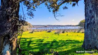 Farm Property for Sale - Lot 52 Cowalla Road Cowalla WA 6503