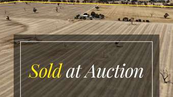 Farm Property for Sale - 130 Racecourse Road Bordertown SA 5268