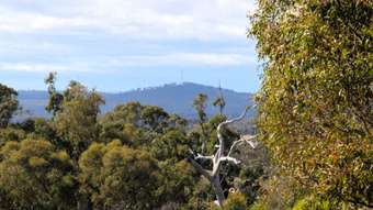 Farm Property for Sale -  Wedderburn Serpentine Road Glenalbyn VIC 3517