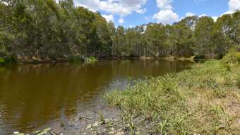 Farm Property for Sale - 30428 Bruce Highway Isis Central QLD 4660