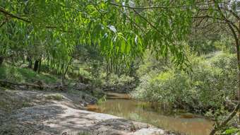 Farm Property for Sale - 15 Old Beech Forest Road Gellibrand VIC 3239