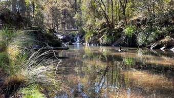 Farm Property for Sale - 253 Eaglehawk Trail Yarrowitch NSW 2354