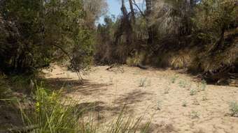 Farm Property for Sale - Gin Gin QLD 4671