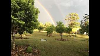 Farm Property for Sale - 556 Back Creek Road Crows Nest QLD 4355