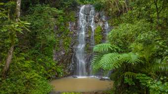 Farm Property for Sale - 14 Weismantel Road Nimbin NSW 2480