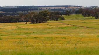 Farm Property for Sale - Manolini Road Kojonup WA 6395