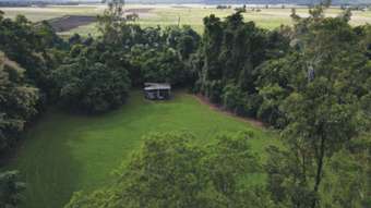 Farm Property for Sale - 202 Sheahan&amp;apos;s Road, Long Pocket Ingham QLD 4850