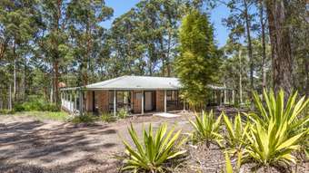 Farm Property for Sale - 15  Walsh Lane Yarravel NSW 2440