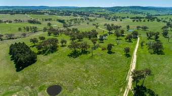 Farm Property for Sale - &amp;apos; Hollis Lane Perthville NSW 2795