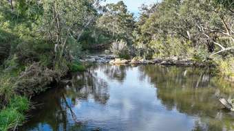 Farm Property for Sale -  Sharp Road Meredith VIC 3333