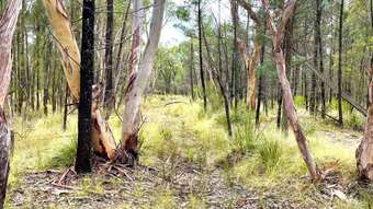 Farm Property for Sale - 1037 Westport Road Jacks Creek NSW 2390