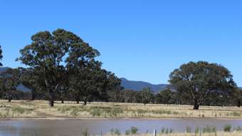 Farm Property for Sale - 11 Buangor-Ben Nevis Road Buangor VIC 3375