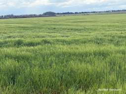 Lot 12 Bates Road Monjingup WA 6450
