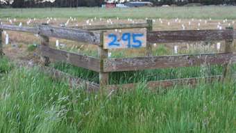 Farm Property for Sale - 295 Deans Creek Road Elliminyt VIC 3250