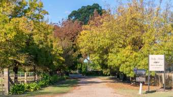 Farm Property for Sale - 2307 Wangaratta-Whitfield Road Moyhu VIC 3732