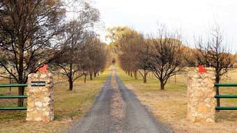 Farm Property for Sale - Mandurama NSW 2792