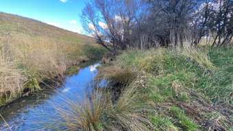 Farm Property for Sale - Essington NSW 2787