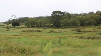 Farm Property for Sale - Lot 1 Charles Street Rydal NSW 2790