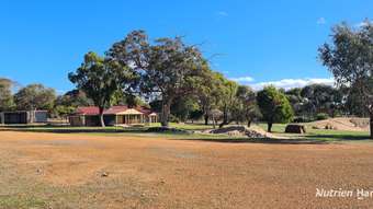 Farm Property for Sale - 138 Climie Street Tenterden WA 6322