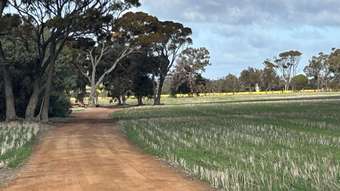 Farm Property for Sale - . "Red Hill", Bagnalls Road Dumbleyung WA 6350