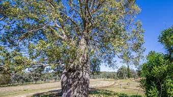 Farm Property for Sale - 58 Hivesville Road Hivesville QLD 4612