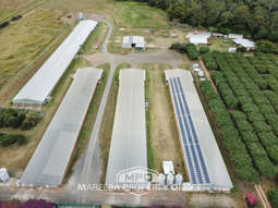 1004 Bilwon Road Biboohra QLD 4880