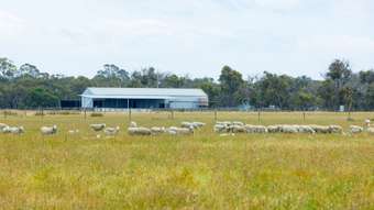Farm Property for Sale - "Hink Powers Creek-Edenhope Road Powers Creek VIC 3312