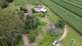 Farm Property for Sale - 46459 Bruce Highway Coolbie QLD 4850