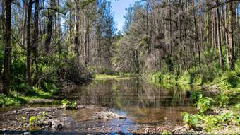 Farm Property for Sale - 1584 Nulla Nulla Creek Road Bellbrook NSW 2440