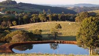 Farm Property for Sale - 5615 Waterfall Way Dorrigo NSW 2453