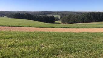 Farm Property for Sale - 963 Glentulloch Road Sunnyside WA 6256