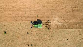 Farm Property for Sale - Lot 2 Fragar Road Cowra NSW 2794