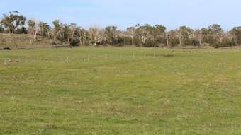 Farm Property for Sale -  Cobden-Stonyford Road Stonyford VIC 3260