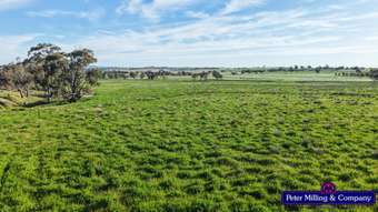 Farm Property for Sale - &amp;apos; Suntop Road Wellington NSW 2820