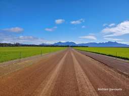 Farm Property for Sale - Lot 6242 Chillinup Road Kojaneerup South WA 6328