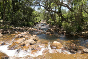 Farm Property for Sale -  Rocky River Road Rocky River NSW 2372