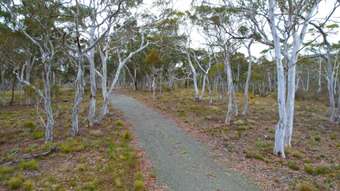 Farm Property for Sale - 1483 Mountain Ash Road Goulburn NSW 2580