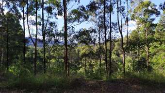 Farm Property for Sale - 1447 Valla Road Newee Creek NSW 2447