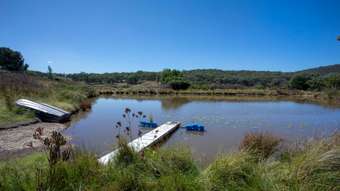 Farm Property for Sale - 49 Blue Mantle Road Wyangala NSW 2808