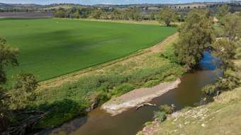 Farm Property for Sale - 621 Naroogal Road Wellington NSW 2820