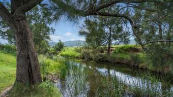 Farm Property for Sale - 218 Cranky Corner Road Stanhope NSW 2335