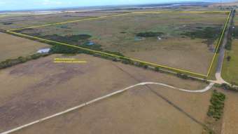Farm Property for Sale -  Hanrattys Road Hunterston VIC 3971