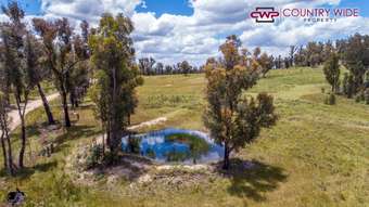 Farm Property for Sale - 354 Silent Grove Road Torrington NSW 2371